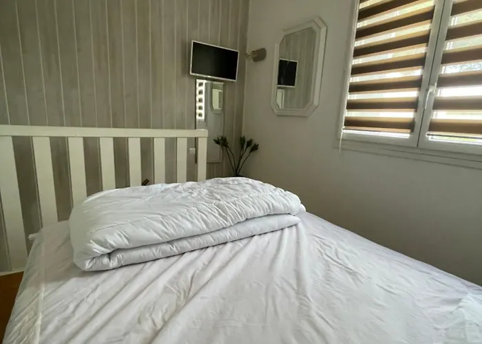 Appartement Au Coeur Des Pins - 2 - 6 Personnes-clim-parking